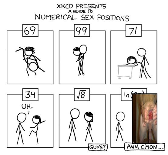 Numerical Sex Positions 94